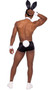 Playboy Hunky Playmate costume includes stretch satin shorts and matching bunny ears headband. Playboy Bunny logo ribbon, rabbit tail, wrist cuffs, cufflinks with logo, collar, and bow tie also included. Eight piece set.