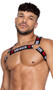 Heartbreaker harness features heartbreaker logo elastic straps and large O ring accents.