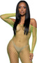 Wide fishnet long sleeve bodystocking features off the shoulder neckline.