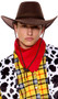 Faux suede cowboy costume hat features a rope band detail, gold vents on each side, and attached adjustable rope chin strap.