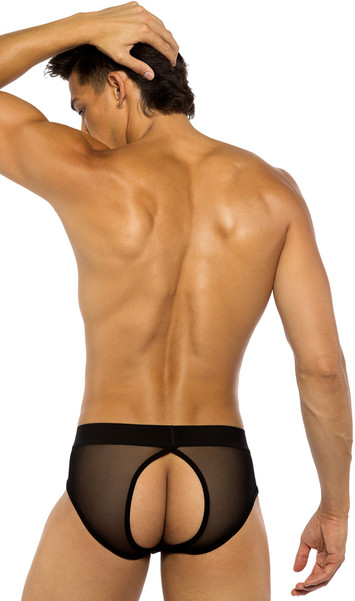 Sheer briefs with elastic waist and peek a boo back.