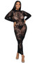 Sheer floral lace net maxi dress features long sleeves and mock neck.