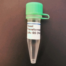 Bacterial CRISPR and Fluorescent Yeast Combo kit - The ODIN