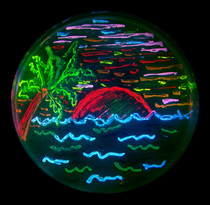 BioArt Microbe Mosaic