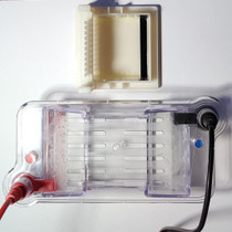 Gel Electrophoresis Box and Set