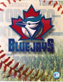 Toronto Blue Jays Team Logo 8x10 Photo