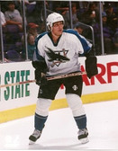 Teemu Selanne San Jose Sharks 8x10 Photo