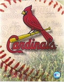 St. Louis Cardinals Team Logo 8x10 Photo