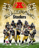 PITTSBURGH STEELERS 2005 AFC CHAMPIONS 8x10 TEAM PHOTO