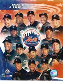 New York Mets 2002 Team 8x10 Photo