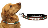 New York Jets Dog Collar - Large