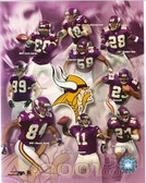 Minnesota Vikings Team 8x10 Photo