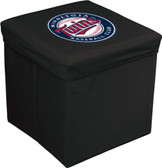Minnesota Twins 16-inch Team Logo Storage Cube