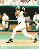 Jose Canseco Tampa Bay Rays 8x10 Photo #1