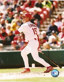 Jim Edmonds St. Louis Cardinals 8x10 Photo #1