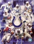 Indianapolis Colts 2001 Team 8x10 Photo
