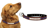 Houston Texans Dog Collar - Medium
