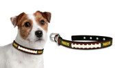Green Bay Packers Dog Collar - Small