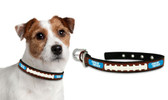 Carolina Panthers Dog Collar - Small