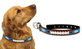 Carolina Panthers Dog Collar - Medium