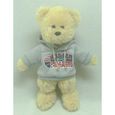 Boston Red Sox 2007 World Series Champs Hoody Bear