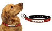 Georgia Bulldogs Dog Collar - Medium