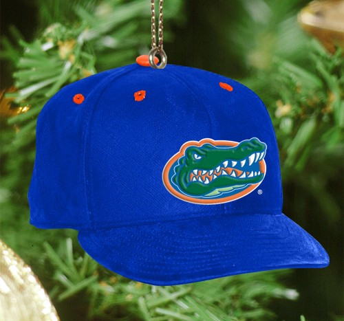 florida gators baseball hat