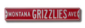 Montana Grizzlies Avenue Sign