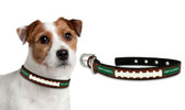 Miami Hurricanes Dog Collar - Small