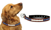 Seattle Seahawks Dog Collar - Size Large