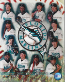 Florida Marlins 2001 Team 8x10 Photo