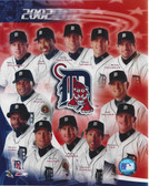 Detroit Tigers 2002 Team 8x10 Photo