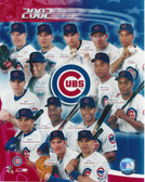 Chicago Cubs 2002 Team 8x10 Photo
