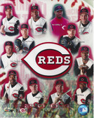 Cincinnati Reds 2001 Team 8x10 Photo