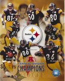 Pittsburgh Steelers 2001 Central Division Champions 8x10 Photo