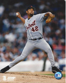 Jose Lima Detroit Tigers 8x10 Photo