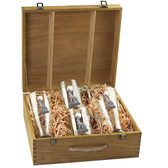 Coyote Beer Stein and Pilsner Box Set