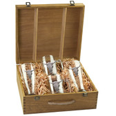 Longhorn Beer Stein and Pilsner Box Set