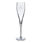 Shamrock Celtic Logo Luigi Bormioli 6 oz Titanium Toast Glass