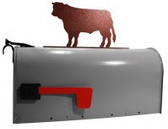 COW - STEER Mailbox Topper