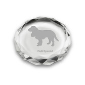 Field Spaniel Deep Etched Paperweight