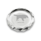 Border Collie Deep Etched Paperweight