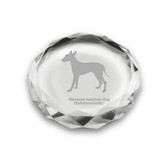 Mexican Hairless Dog Deep Etched Paperweight