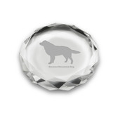 Bernese Mountain Dog Deep Etched Paperweight