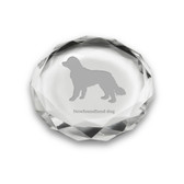 Newfoundland Dog Deep Etched Paperweight