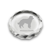 Miniature Poodle Deep Etched Paperweight