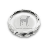 American Hairless Terrier Deep Etched Paperweight
