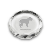 Wheaten Terrier Deep Etched Paperweight