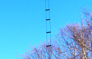 50 Foot W7FG True Ladder Line Open Wire Feed Line