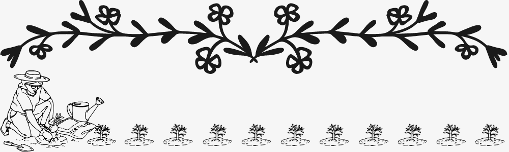 planters-patch-eco-1-.png